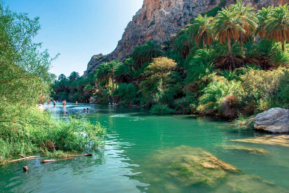 preveli-beach-palm-forest